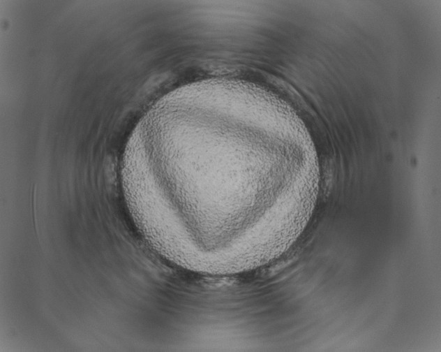 X0000087380667200705181243