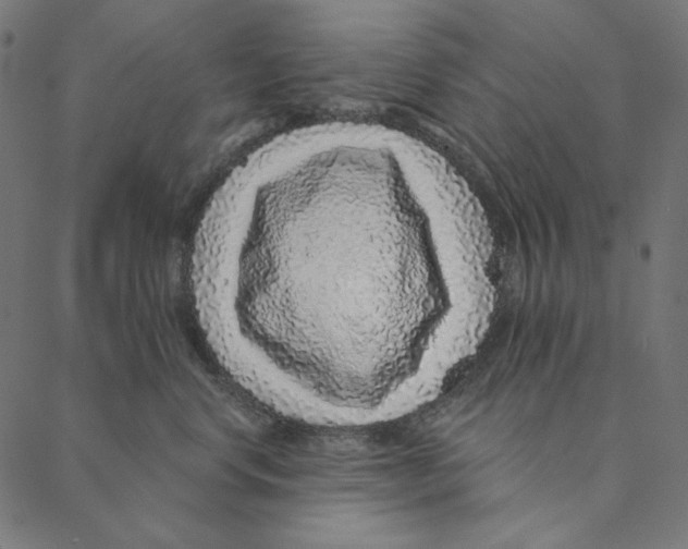 X0000087380668200705181243