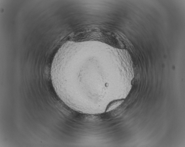 X0000087380669200705181244