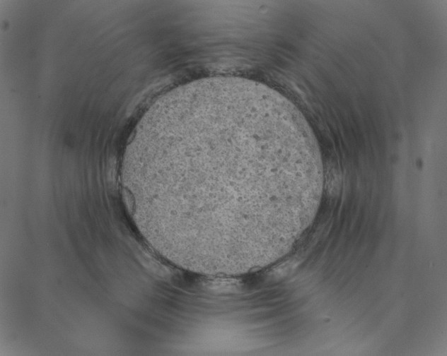 X0000087380670200705181244