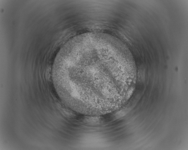 X0000087380671200705181244