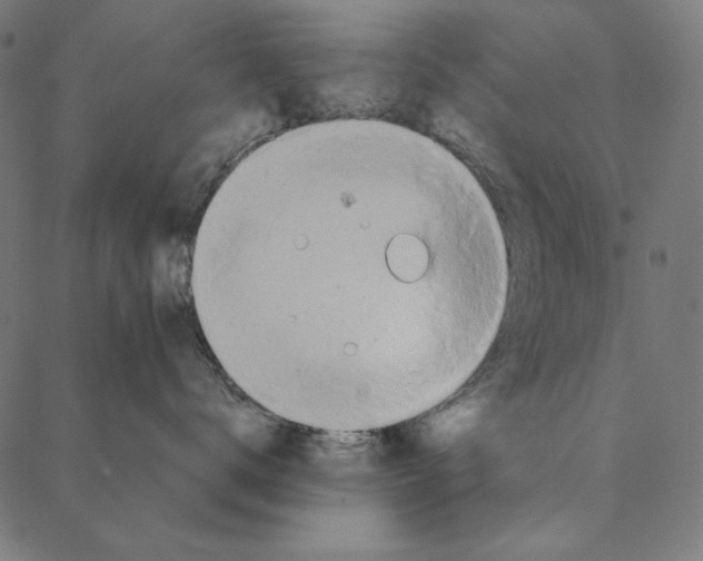 X0000087380672200705181244