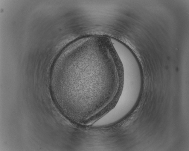 X0000087380673200705181243