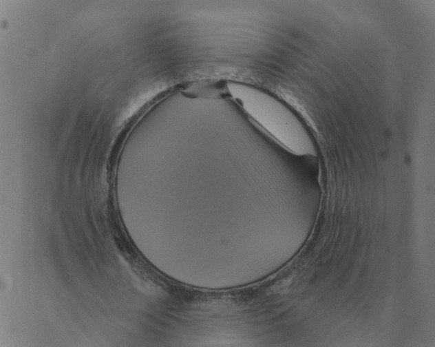 X0000087380674200705181243