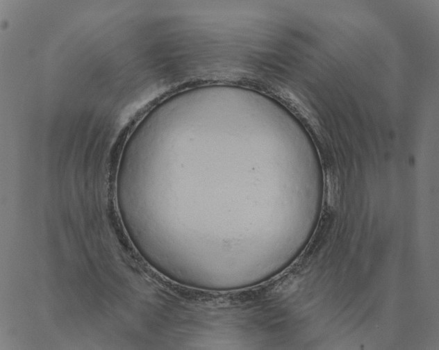 X0000087380675200705181243