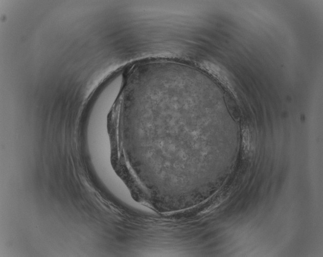 X0000087380676200705181243