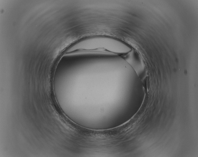 X0000087380677200705181243