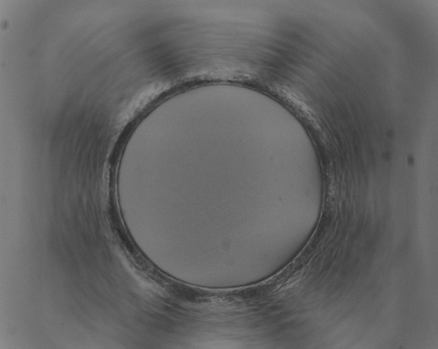 X0000087380678200705181243