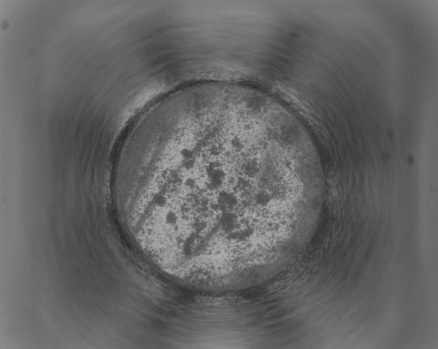 X0000087380679200705181243