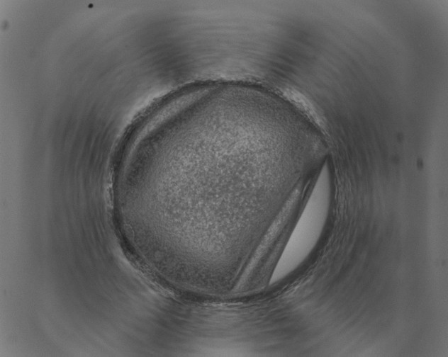 X0000087380680200705181243