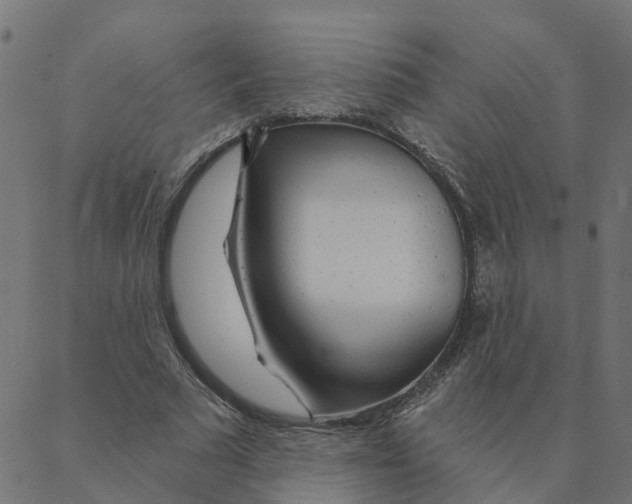 X0000087380681200705181243