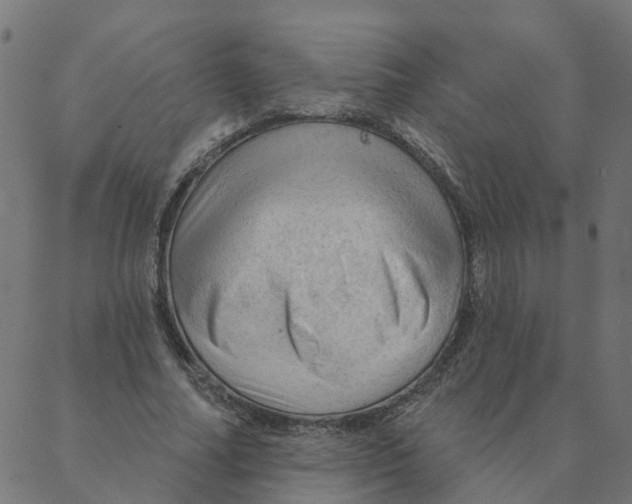 X0000087380682200705181243