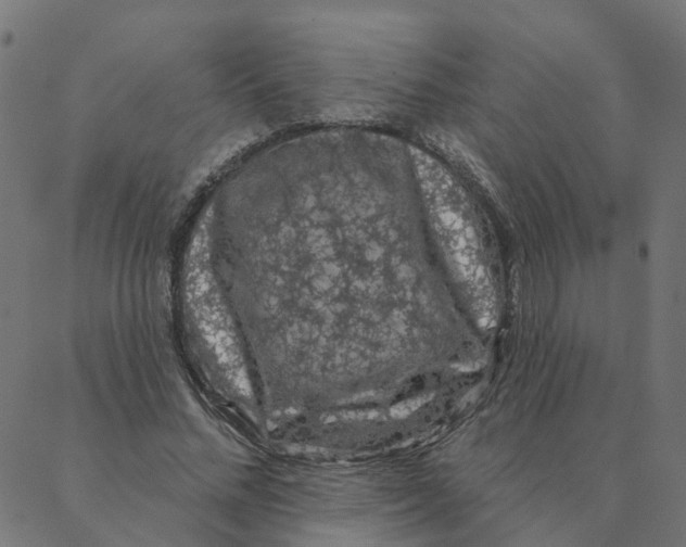 X0000087380684200705181243