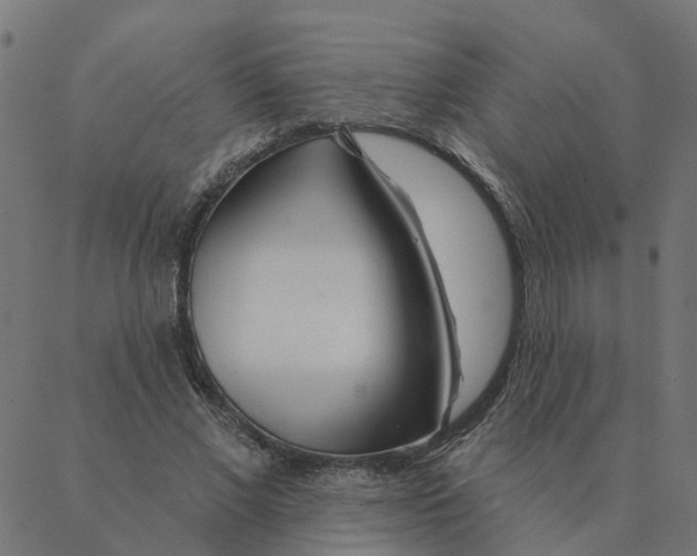 X0000087380685200705181243