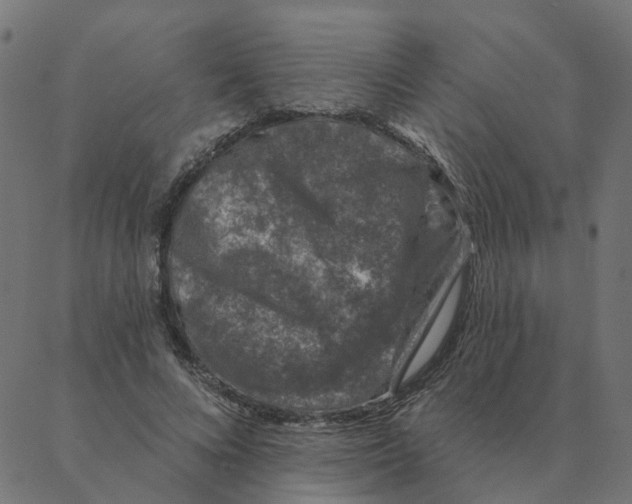 X0000087380688200705181243