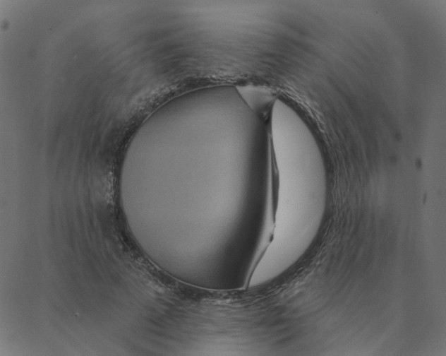 X0000087380689200705181243