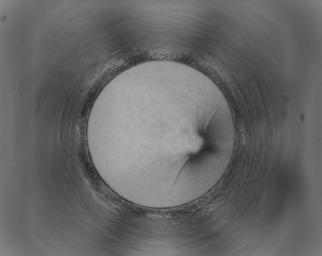 X0000087380690200705181242