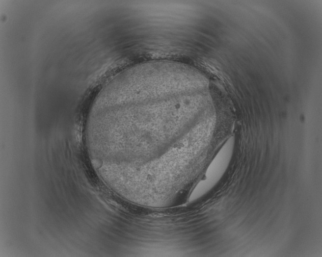 X0000087380691200705181242