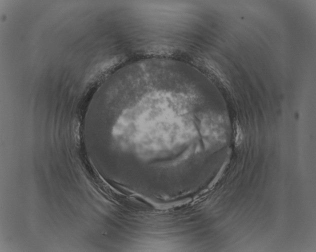 X0000087380692200705181242