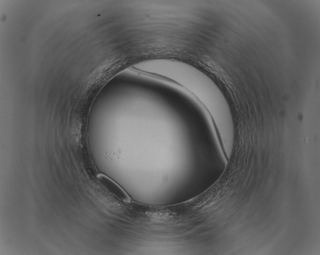 X0000087380693200705181242