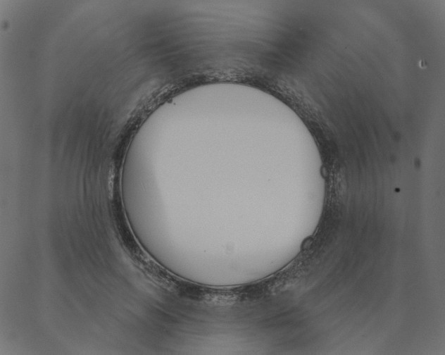 X0000087380694200705181242