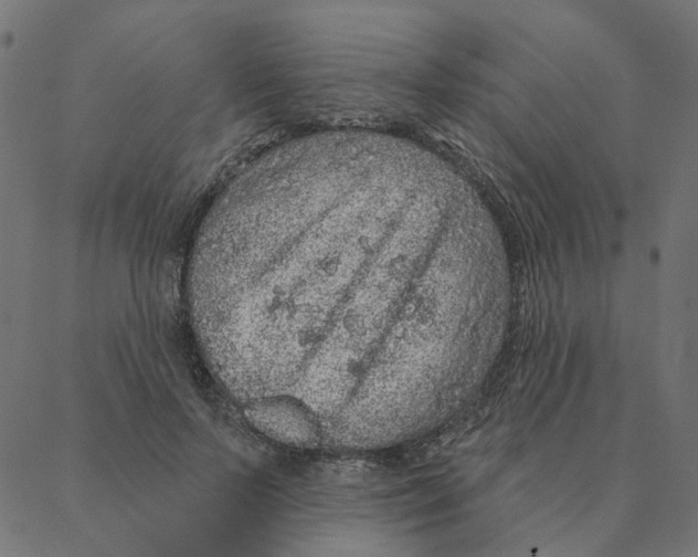 X0000087380695200705181242