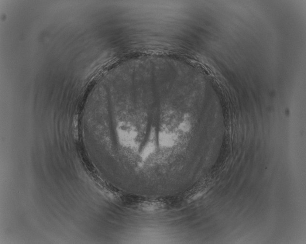 X0000087380696200705181242