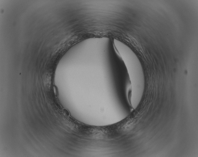 X0000087380697200705181242