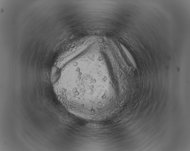 X0000087380699200705181242