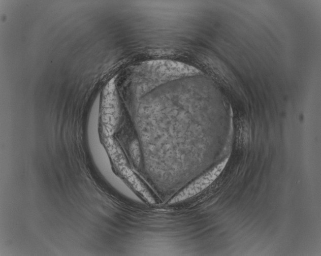 X0000087380700200705181242