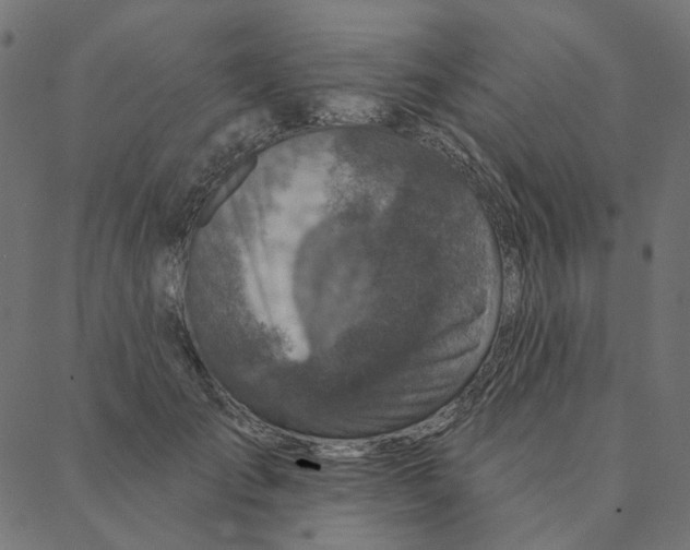 X0000087380701200705181242