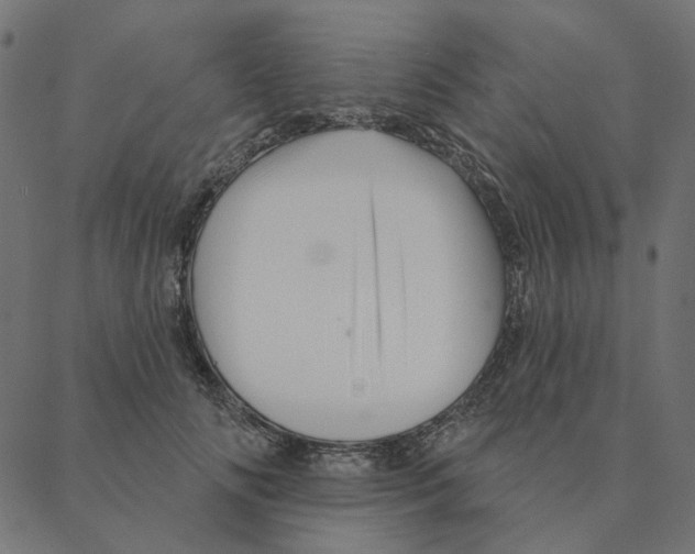 X0000087380702200705181242