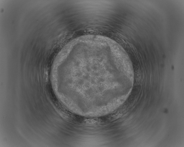 X0000087380703200705181242