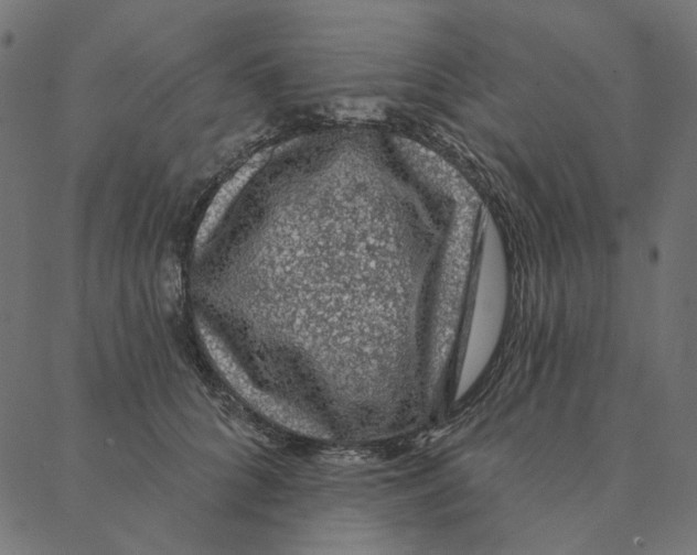 X0000087380704200705181242