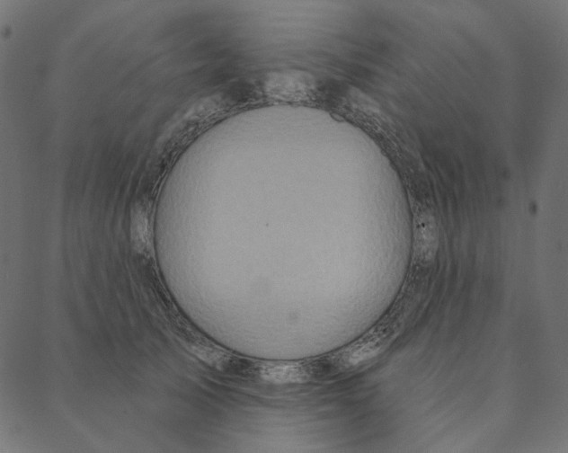 X0000087380705200705181242