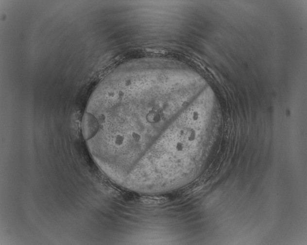 X0000087380707200705181242