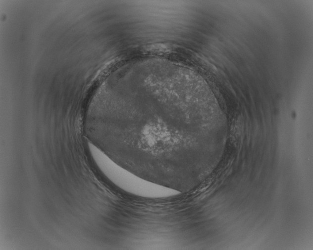 X0000087380708200705181242