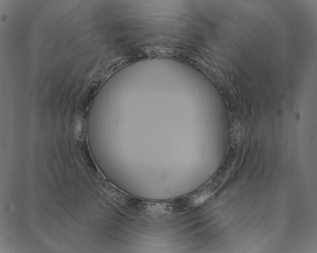 X0000087380709200705181242