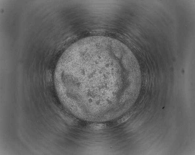 X0000087380711200705181242