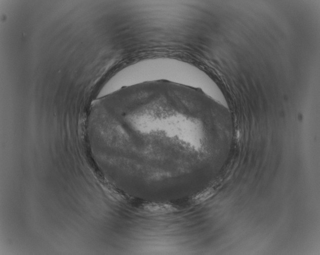 X0000087380712200705181242