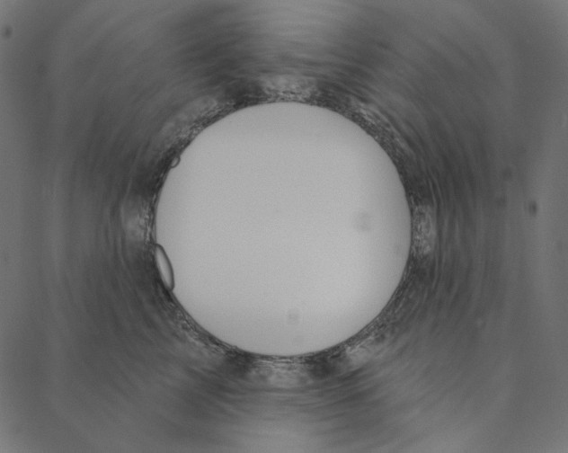 X0000087380713200705181242