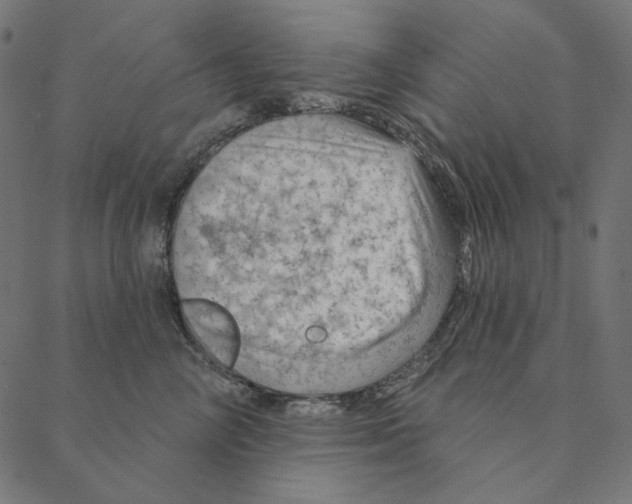 X0000087380714200705181242