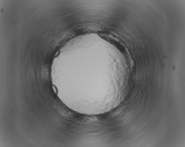 X0000087380715200705181242