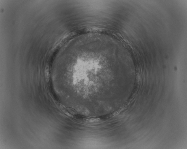 X0000087380716200705181242