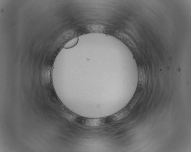 X0000087380717200705181242