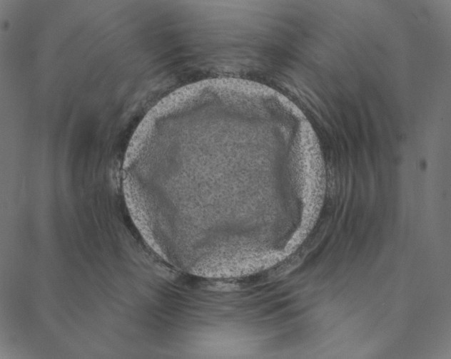 X0000087380718200705181242