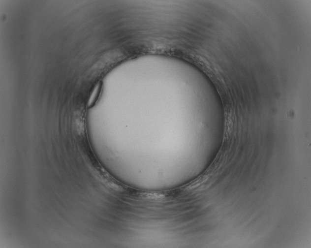 X0000087380719200705181242