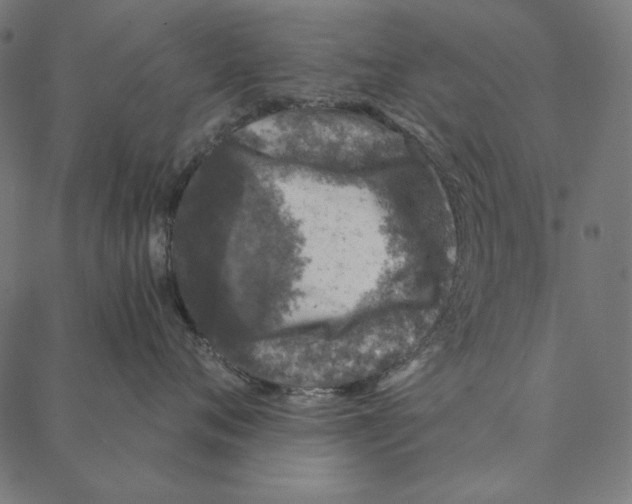 X0000087380720200705181242