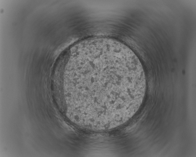 X0000087380721200705181241