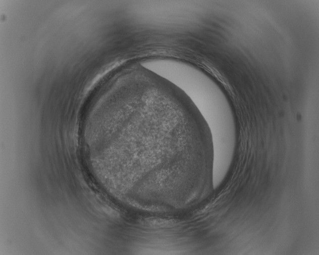 X0000087380722200705181241